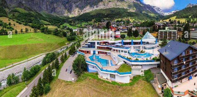 best cat food top rated best cat food top rated