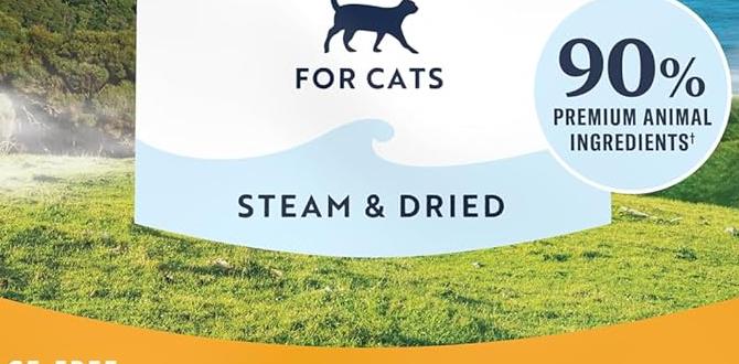 high protein cat food amazon high protein cat food amazon